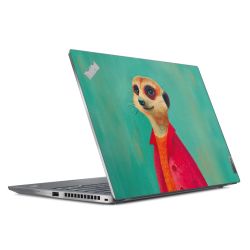 Foils for Laptops matt