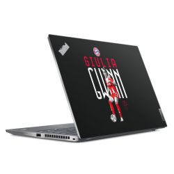 Foils for Laptops matt