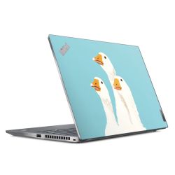 Foils for Laptops matt