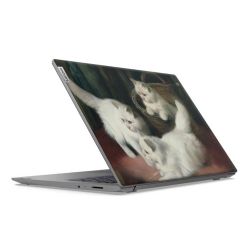 SkinVinyyli Läppäreille mattapinta