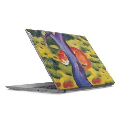 Foils for Laptops matt