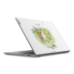 Foils for Laptops matt