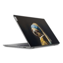 Foils for Laptops matt