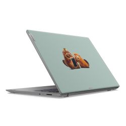 Foils for Laptops matt