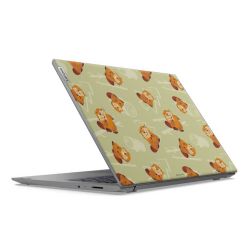 Foils for Laptops matt