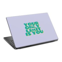 Foils for Laptops matt