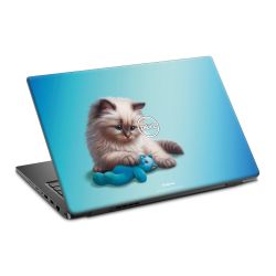 Foils for Laptops matt