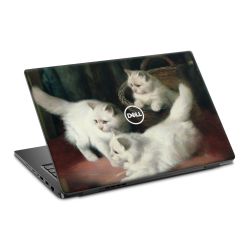 Foils for Laptops matt