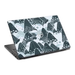 Foils for Laptops matt