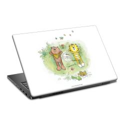 Foils for Laptops matt