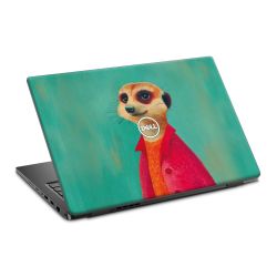 Foils for Laptops matt