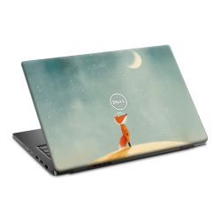 Foils for Laptops matt