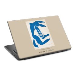 Foils for Laptops matt