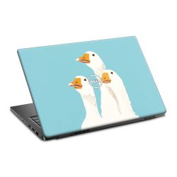 Foils for Laptops matt