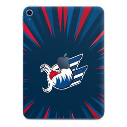 Folien für Tablets matt