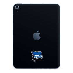 Folien für Tablets matt