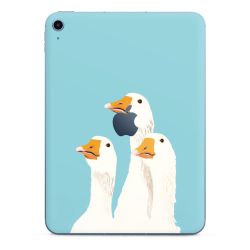 Foils for Tablets matt