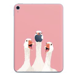 Foils for Tablets matt