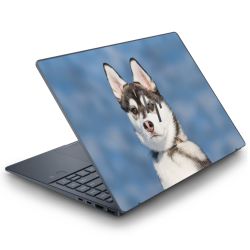 Foils for Laptops matt