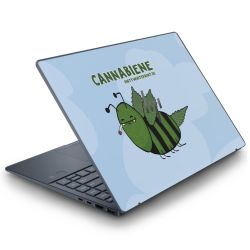 Folien für Laptops matt