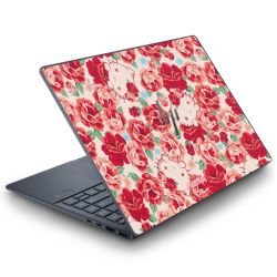 Folien für Laptops matt