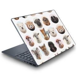 Foils for Laptops matt
