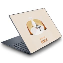 Foils for Laptops matt