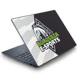 Folien für Laptops matt