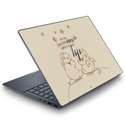 Folien für Laptops matt