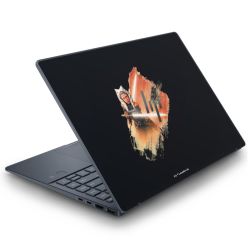 Folien für Laptops matt