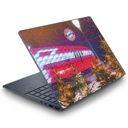 Foils for Laptops matt