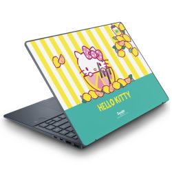 Folien für Laptops matt