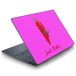 Foils for Laptops matt
