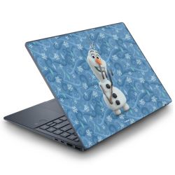 Foils for Laptops matt