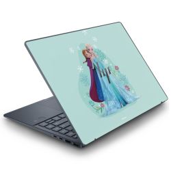 Foils for Laptops matt