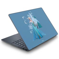 Foils for Laptops matt