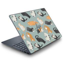 Foils for Laptops matt