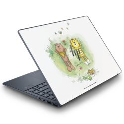 Foils for Laptops matt
