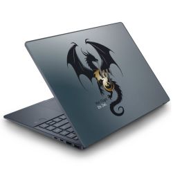 Foils for Laptops matt