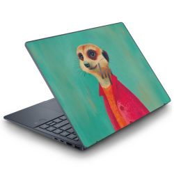 Foils for Laptops matt