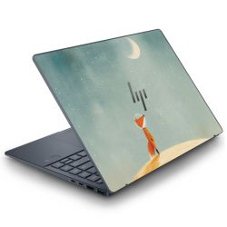 Foils for Laptops matt