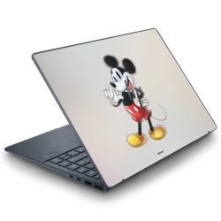 Foils for Laptops matt