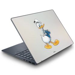 Foils for Laptops matt