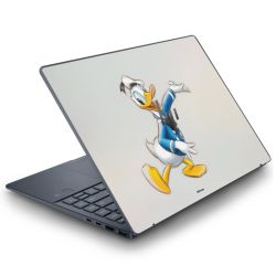 Foils for Laptops matt