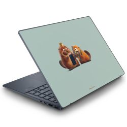 Folien für Laptops matt