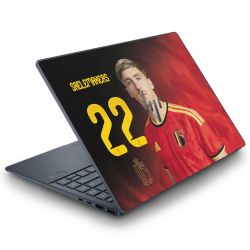 Foils for Laptops matt