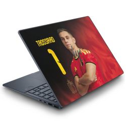 Foils for Laptops matt