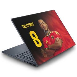 Foils for Laptops matt