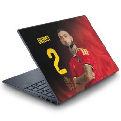 Foils for Laptops matt