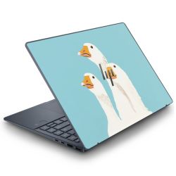 Foils for Laptops matt